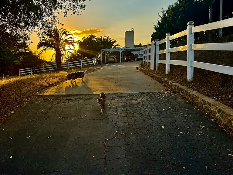 The driveway