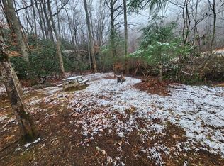 947 Valley End Rd, Ararat, VA 24053