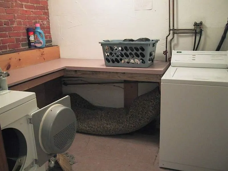 2 bed, 800 sqft, $3,500 — Photo 2