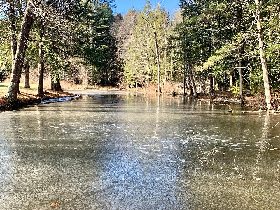Pond out in your back yard. View from Master bedroom