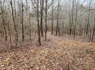 10 Sales Landing Rd, Camden, TN 38320