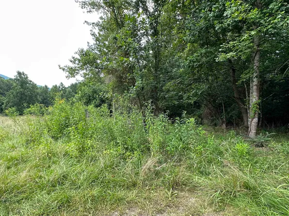 616 Midvale Hl, Vesuvius, VA 24483