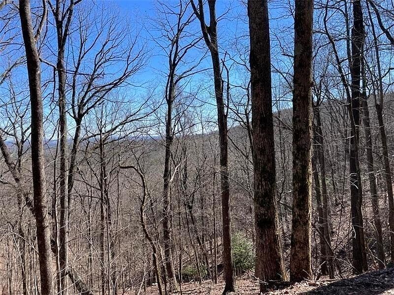 1st image of 1144 Grouse Gap Dr #303