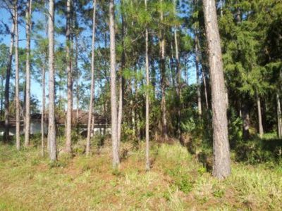 24 Bolling Ln, Palm Coast, FL, 32137