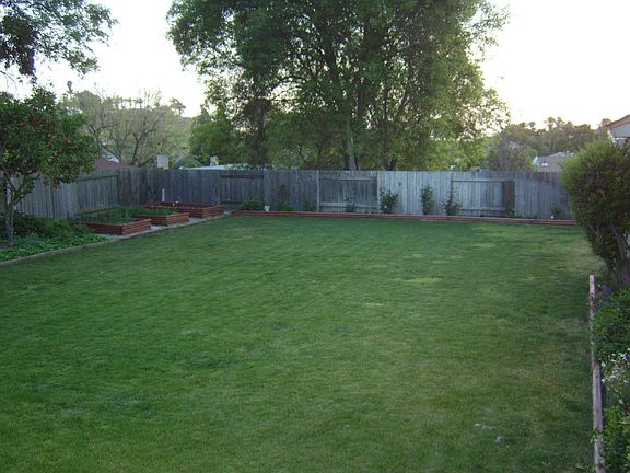 backyard, parallel to house