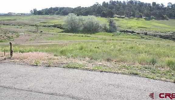 2nd image of 29 Nature Trail Ct
