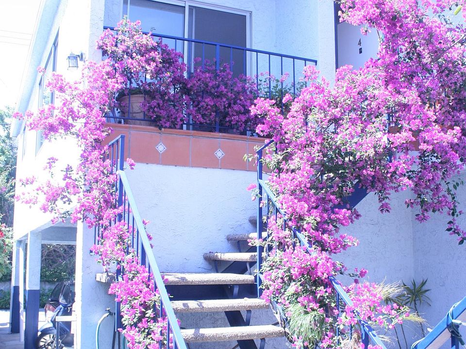 Entrance to upper unit. Small patio at top and shared patio at bottom right.