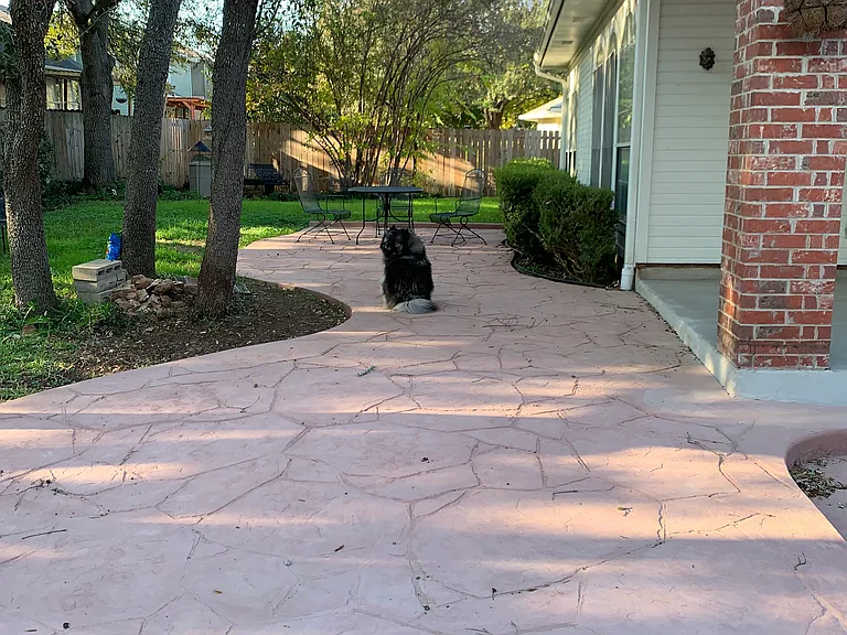 9140 Fainwood Ln — Photo 3