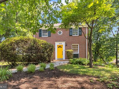 305 Hamilton Ave, Silver Spring, MD, 20901