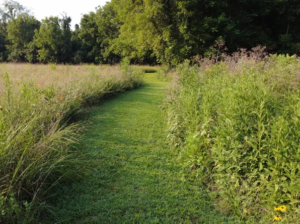 000 N Farm Rd 69, Walnut Grove, MO 65770
