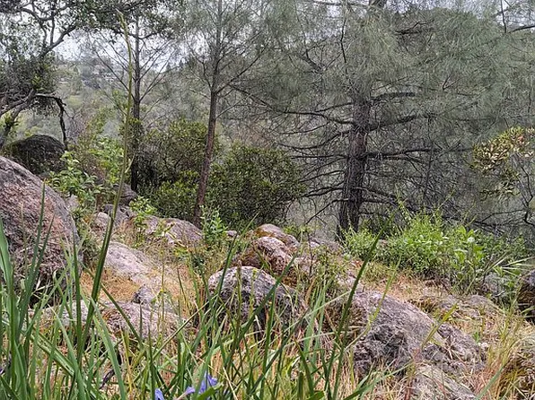 4696 Iroquois Trl, Kelseyville, CA 95451