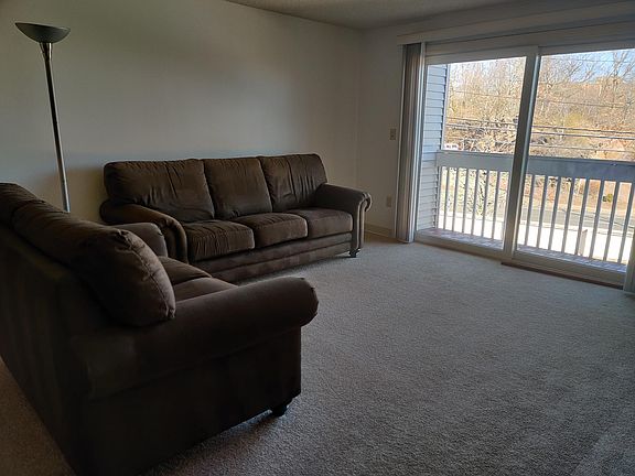Living Room and Balcony