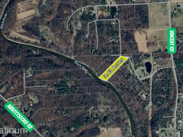 0 Sycamore Ln, North Street, MI 48049