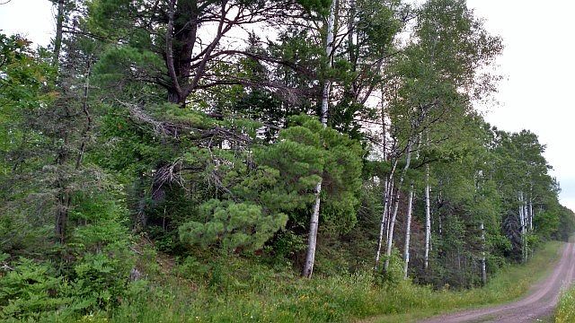 1st image of Lost Valley Road