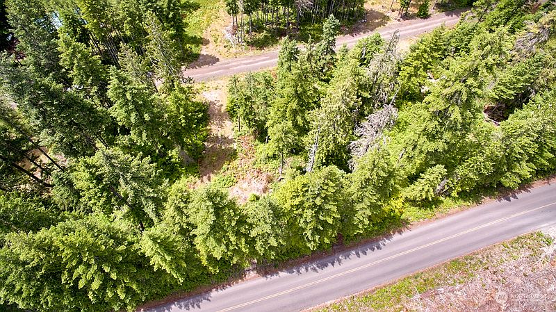 2nd image of 1 Lodgepole Lane