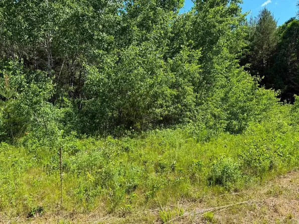 2 Acres County Road C, Arkdale, WI 54613