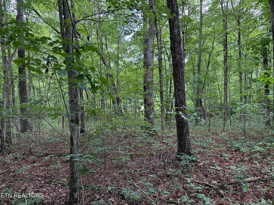 1st image of Icy Cove Trl