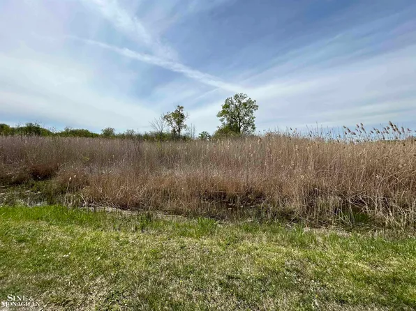 0 N Channel Dr, Harsens Island, MI 48028