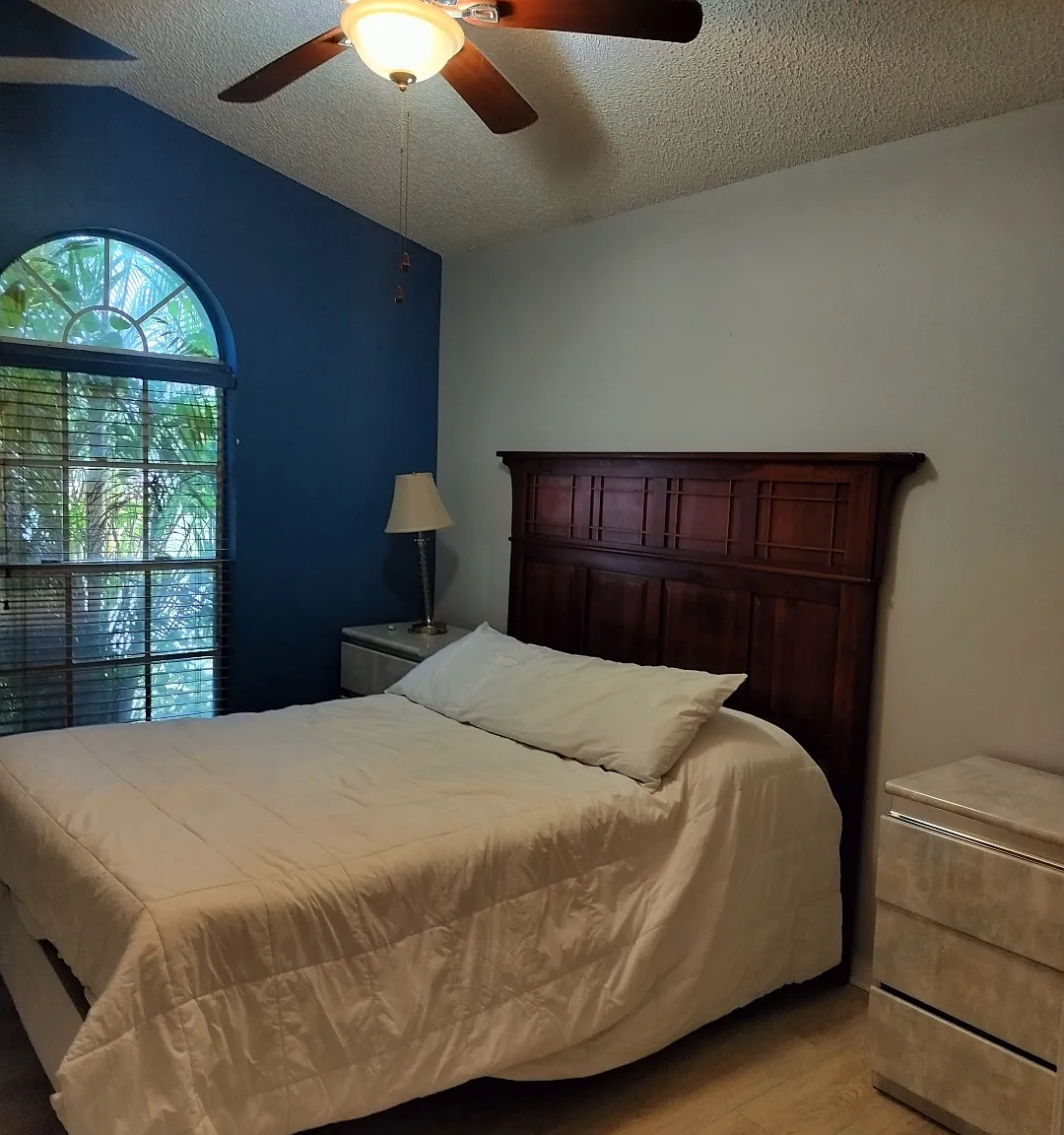 Lace Fern Rd, Orlando — Photo 1