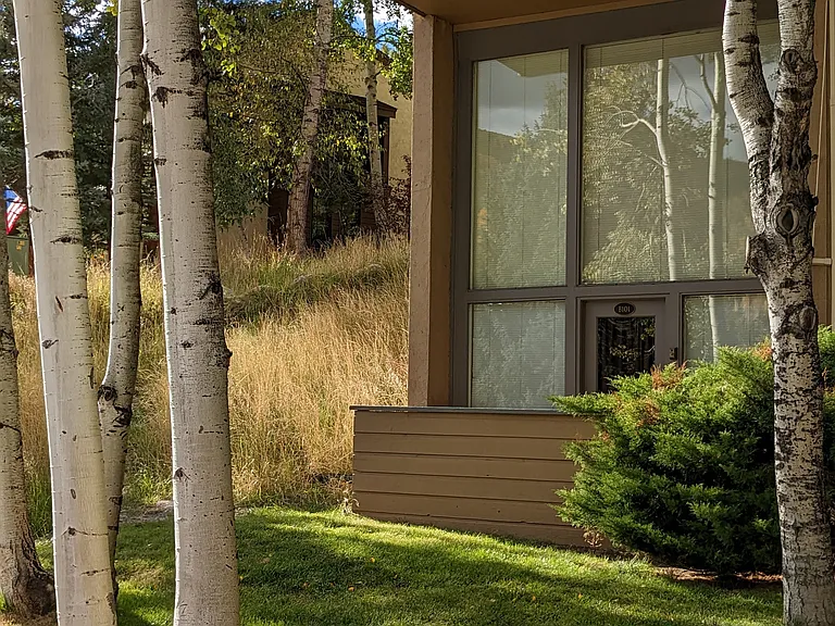 1081 Vail View Dr #B101 — Photo 1