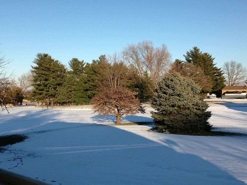 View from Kitchen Window