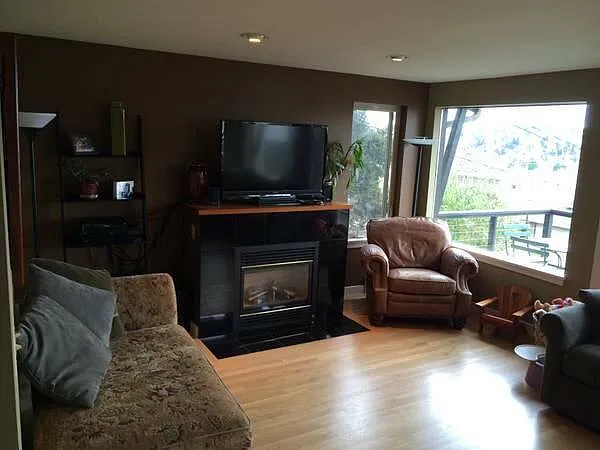 Living Room and Fireplace