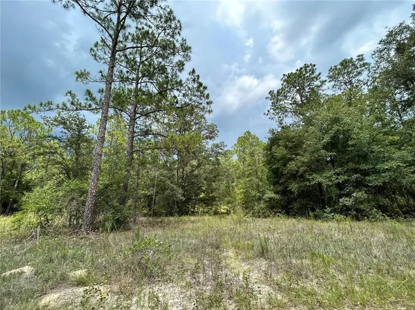 SE 163rd Ct, Morriston, FL 32668