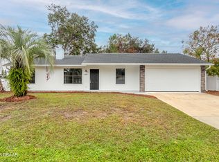 2425 Umbrella Tree Dr, Edgewater, FL 32141