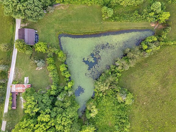 54th image of this home