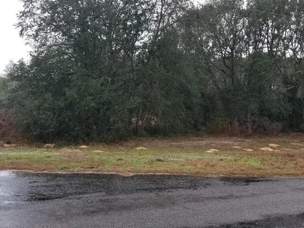 15 Guava Ln, Ocklawaha, FL 32179