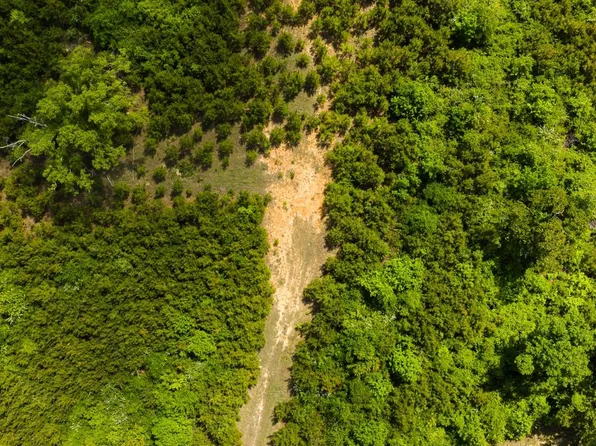 0 Highway 393, Louisville, MS 39339
