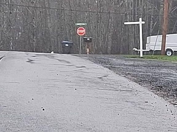 5th image of 103 Skyline Dr