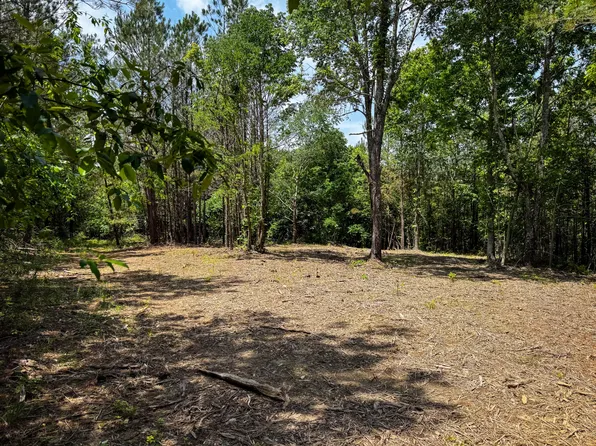 0 Old Mail Rd Lot 28, Duck River, TN 38454