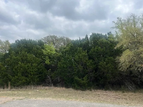 10019 Ridgeway Ct, Whitney, TX 76692