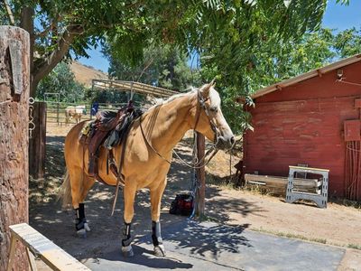 11123 Moreno Ave, Lakeside, CA, 92040