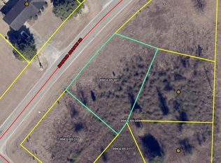 114 Diamond Branch Rd, Johnsonville, SC 29555