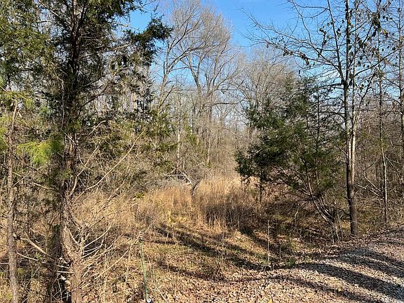 3rd image of 0 Tribal Rdg