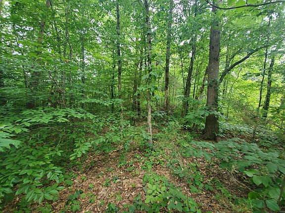5th image of LOT 18 Pine Ln