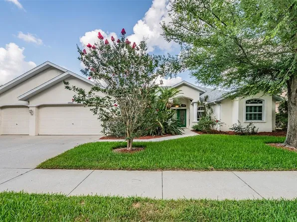 1036 Waybrook Ct, Lutz, FL 33549