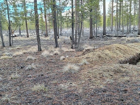 5th image of Sun Forest Dr #1200