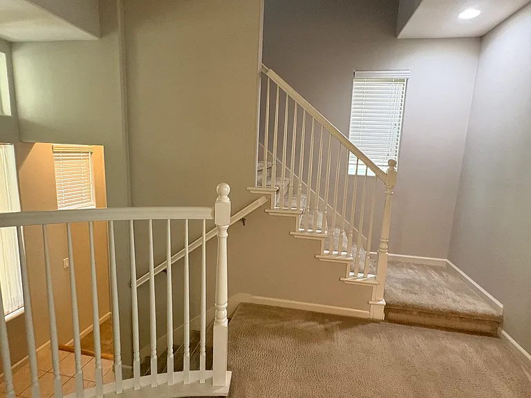 49054 Rosette Grass Ter — Photo 12