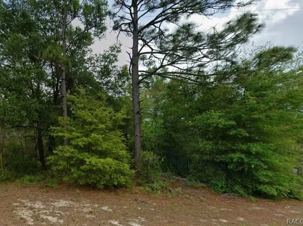 8829 N Amboy Dr, Dunnellon, FL 34433