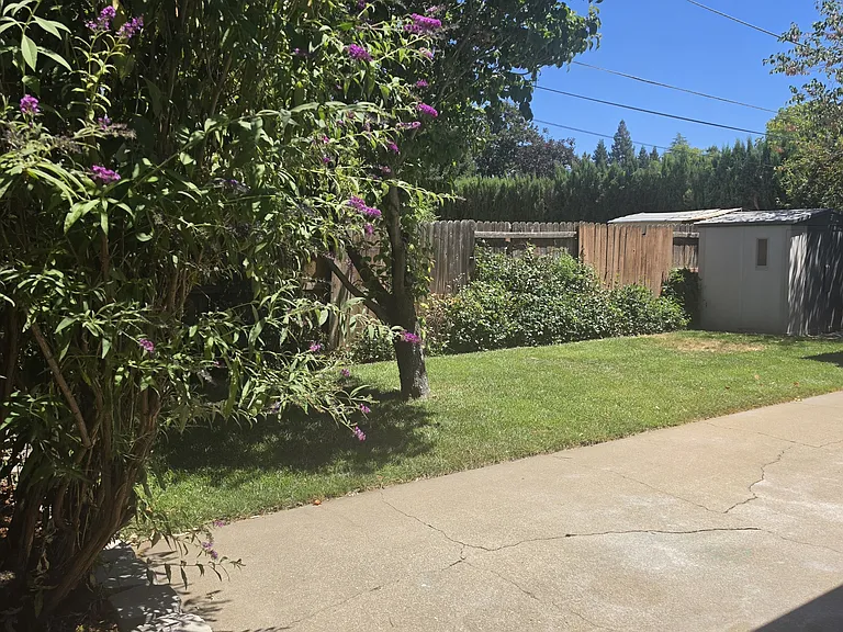 888 Glenn St — Photo 4