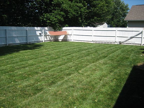 Expansive Backyard w/Privacy Fence