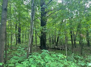 0 County Road B, Shell Lake, WI 54871