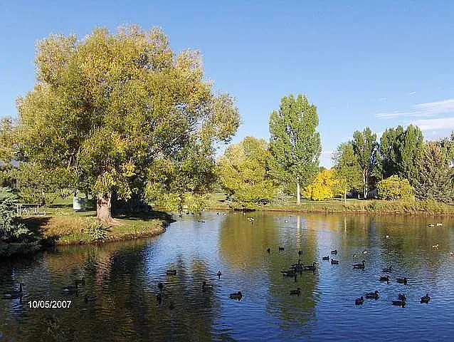 Sheldon Lake down the street