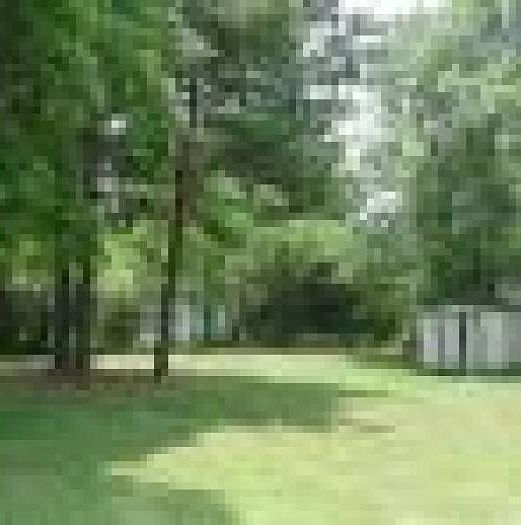 Spacious Backyard