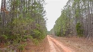 5th image of 0 Long Cane Ame Rd