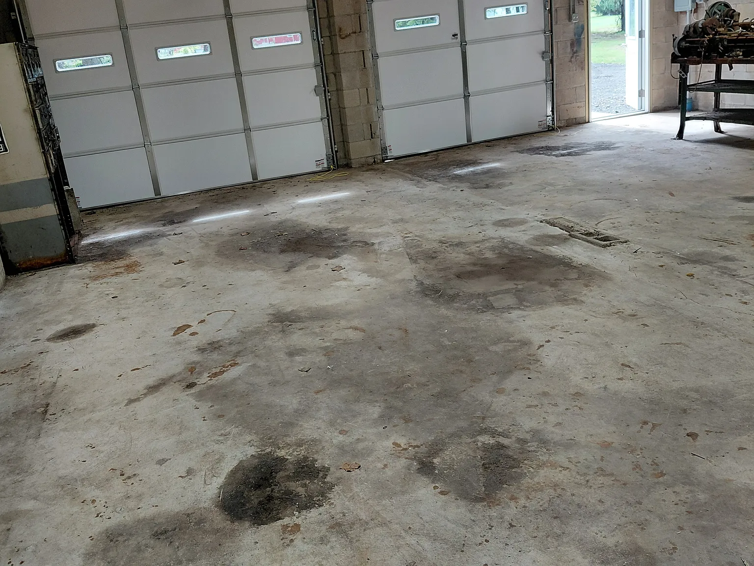 1 bed, 1000 sqft, $1,200 — Photo 2