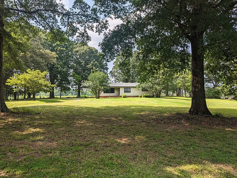 228 Cameron Rd — Photo 5
